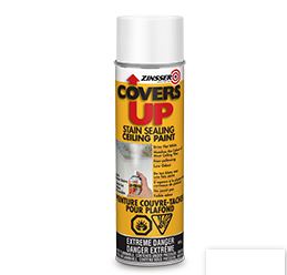 CEILING RESTORER - COVER UP CEILING STAIN PAINT 6 X 454G 