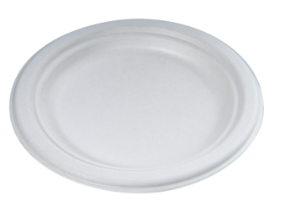 PLATES - 6&quot; BAGASSE ECO ROUND DESSERT WHITE 1000/CS